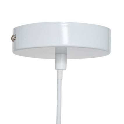 Atmosphera - Lampadario a sospensione per bambini SCOTT su cavo 1xE27/40W/230V a tema cani