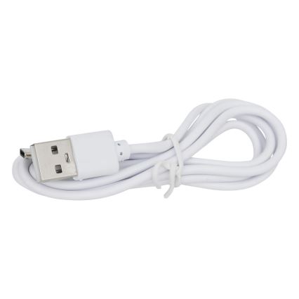 Atmosphera - LED RGBW Ricaricabile per esterni lampada da tavolo ZACK LED/3,7V 1200 mAh IP44 turchese