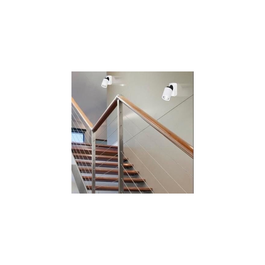 Azzardo AZ0662 - Luce Spot TOMI 1xGU10/50W/230V