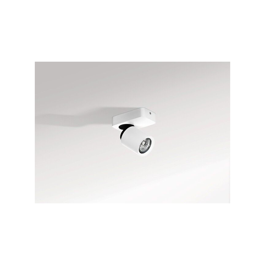 Azzardo AZ0662 - Luce Spot TOMI 1xGU10/50W/230V