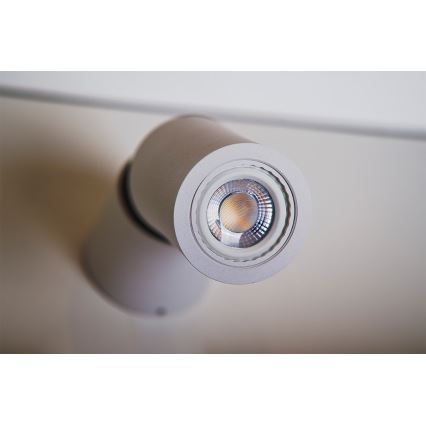 Azzardo AZ1479 - Luce Spot LINO 1xGU10/50W/230V