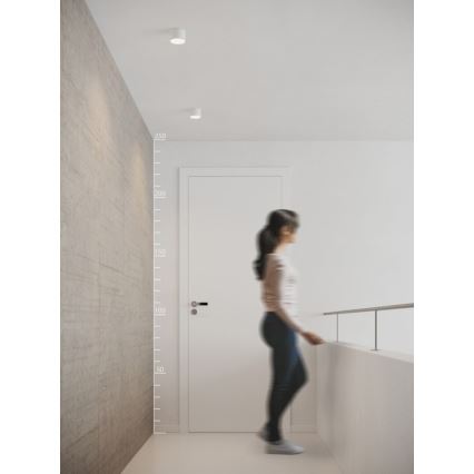 Azzardo AZ2252 - Lampada da soffitto LED MONZA LED/5W/230V