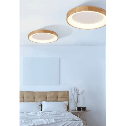 Azzardo AZ2698 - Plafoniera LED da soffitto SILVAM/50W/230V
