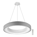 Azzardo AZ2729 - Lampadario LED dimmerabile su cavo SOVANA LED/50W/230V con telecomando