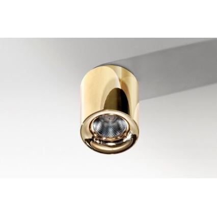 Azzardo AZ2846 - Plafoniera LED MANE LED/10W/230V