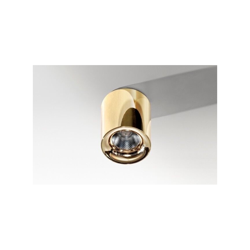 Azzardo AZ2846 - Plafoniera LED MANE LED/10W/230V