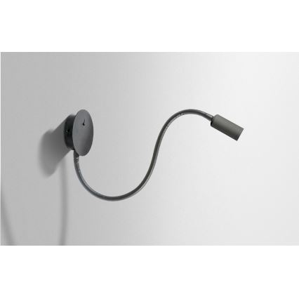 Azzardo AZ2943 - Faretto da parete a LED NOGAT LED/3W/230V