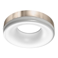 Azzardo AZ2946 - Plafoniera RING LED/18W/230V