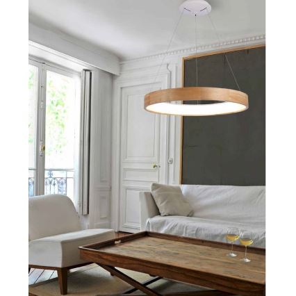 Azzardo AZ3344 - Lampadario a sospensione con filo LED dimmerabile SILVAM LED/30W/230V