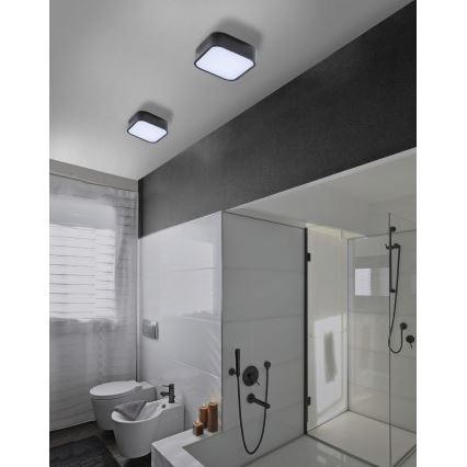 Azzardo AZ4146 - Plafoniera bagno LUIE 2xE27/20W/230V IP44