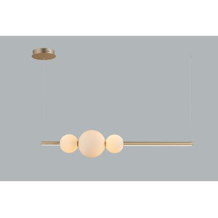 Azzardo AZ4427 - Lampadario LED dimmerabile su corda SANDRA LED/48W/230V oro