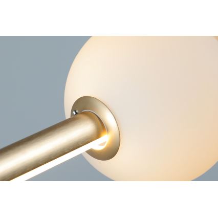 Azzardo AZ4427 - Lampadario LED dimmerabile su corda SANDRA LED/48W/230V oro