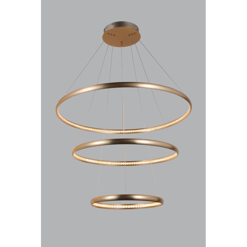 Azzardo AZ4429 - Lampadario LED su corda BRIGHTON LED/55W/230V oro