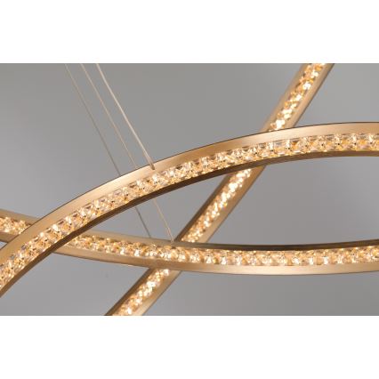 Azzardo AZ4429 - Lampadario LED su corda BRIGHTON LED/55W/230V oro