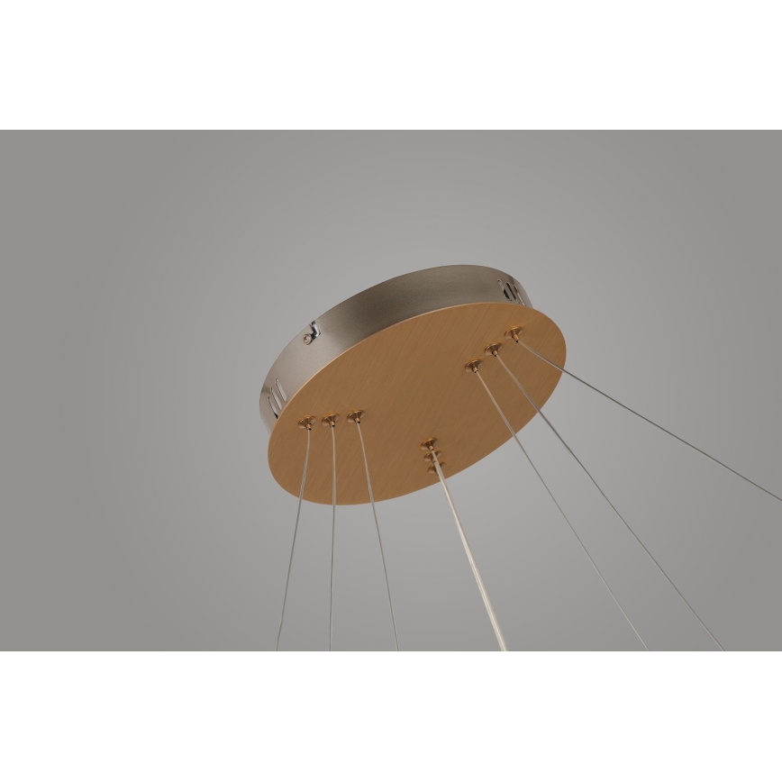 Azzardo AZ4429 - Lampadario LED su corda BRIGHTON LED/55W/230V oro