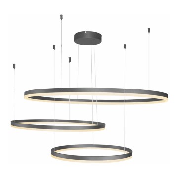 Azzardo AZ4707 - Lampadario a cavo LED HALO LED/130W/230V nero