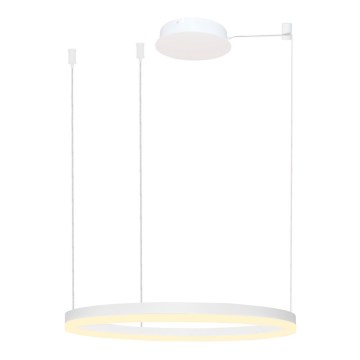 Azzardo AZ4959 - Lampadario a sospensione con filo LED dimmerabile HALO LED/56W/230V diametro 80 cm bianco