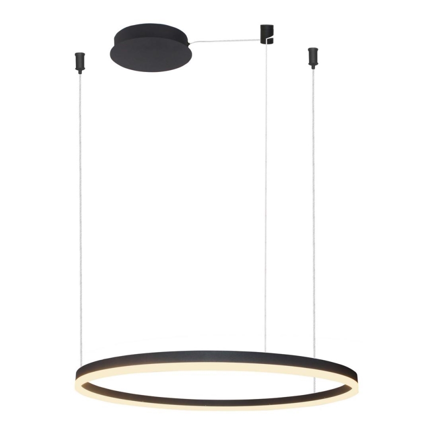 Azzardo AZ4960 - Lampadario a sospensione dimmerabile a LED su cavo HALO LED/54W/230V diam. 80 cm nero