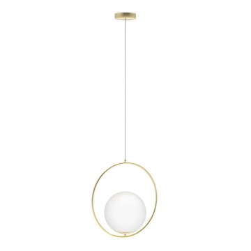 Azzardo AZ4983 - Lampadario a sospensione con filo JUMBO 1xG9/50W/230V oro