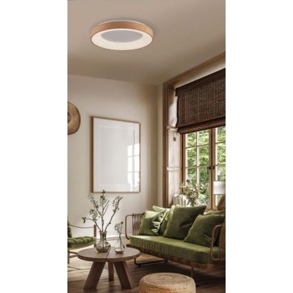 Azzardo AZ4988 - Plafoniera LED SANTANA LED/30W/230V oro