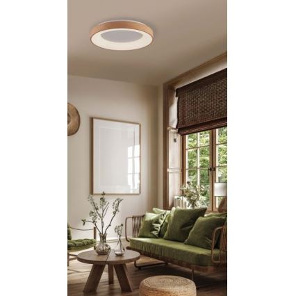 Azzardo AZ4989 - Plafoniera LED SANTANA LED/30W/230V marrone