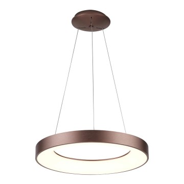 Azzardo AZ4998 - Lampadario LED su cavo SANTANA LED/30W/230V marrone