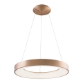 Azzardo AZ5000 - Lampadario LED a cavo SANTANA LED/30W/230V oro
