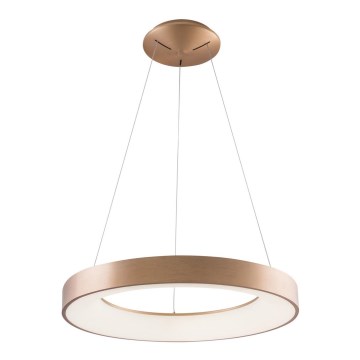 Azzardo AZ5000 - Lampadario LED a cavo SANTANA LED/30W/230V oro