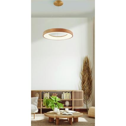 Azzardo AZ5006 - Lampadario LED a sospensione con filo SANTANA LED/30W/230V marrone