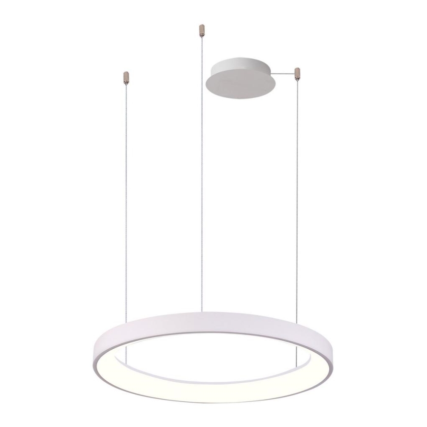 Azzardo AZ5018 - Lampadario a sospensione con filo LED dimmerabile AGNES LED/48W/230V diametro 58 cm bianco