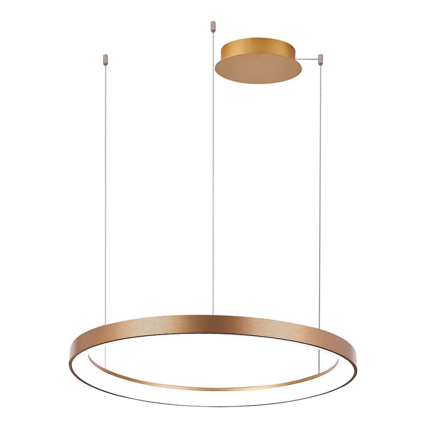 Azzardo AZ5020 - Lampadario a sospensione con filo LED dimmerabile AGNES LED/48W/230V diametro 58 cm oro