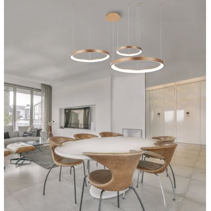 Azzardo AZ5026 - Lampadario a sospensione con filo LED dimmerabile AGNES LED/120W/230V oro