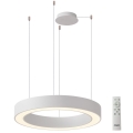 Azzardo AZ5052 - Lampadario dimmerabile a sospensione su cavi MARCO LED/100W/230V bianco + telecomando