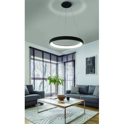 Azzardo AZ5063 - Lampadario a sospensione con filo LED dimmerabile ANTONIO LED/50W/230V nero + telecomando