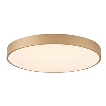 Azzardo AZ5086 - Plafoniera LED dimmerabile MARCELLO LED/80W/230V oro