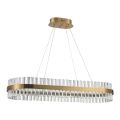Azzardo AZ5263 - Lampadario LED a sospensione con filo FRANCESCA LED/64W/230V 100 cm
