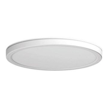 Azzardo AZ5367 - Plafoniera LED dimmerabile PANKA LED/32W/230V IP40 bianca