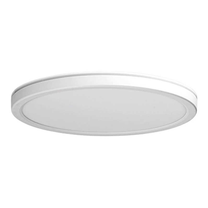 Azzardo AZ5369 - Plafoniera LED dimmerabile da bagno PANKA LED/45W/230V IP40 bianco