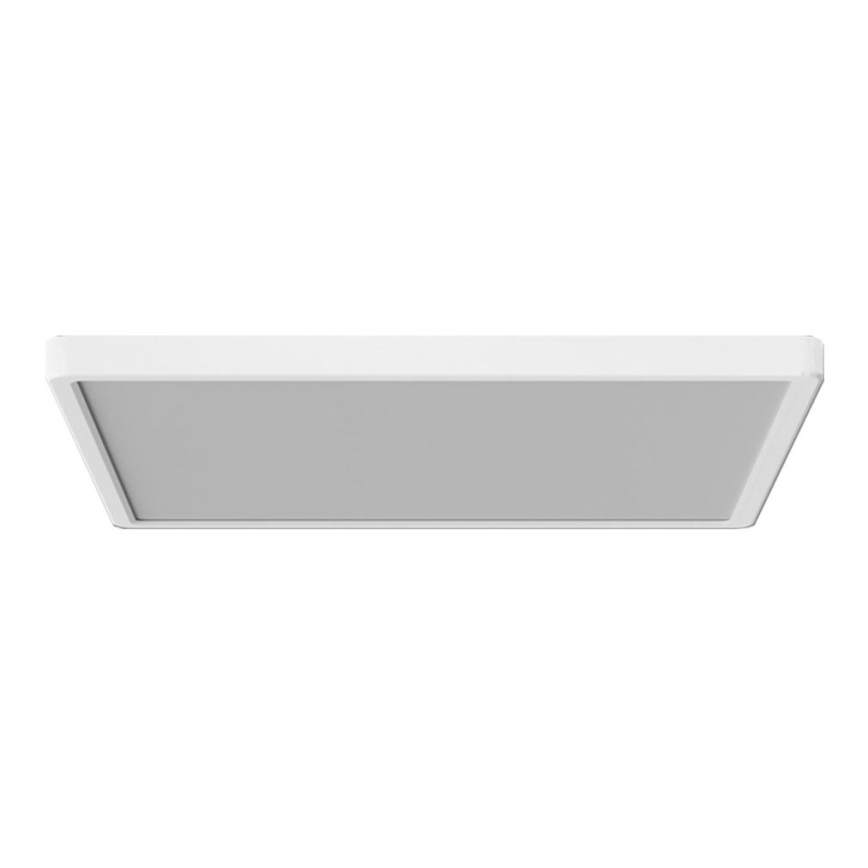 Azzardo AZ5373 - Lampada LED dimmerabile da bagno PANKA LED/45W/230V IP40 bianco