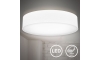 B.K. Licht 1394 - LED Plafoniera LED/20W/230V bianca