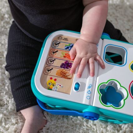 Baby Einstein - Cestino interattivo per bambini MAGIC TOUCH HAPE 3xAAA
