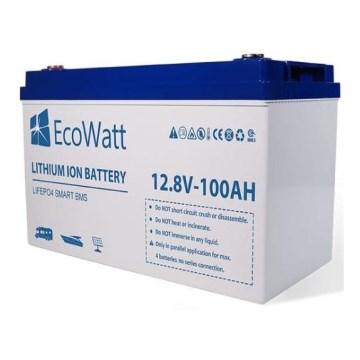 Batteria LiFePO4 12,8V/100Ah