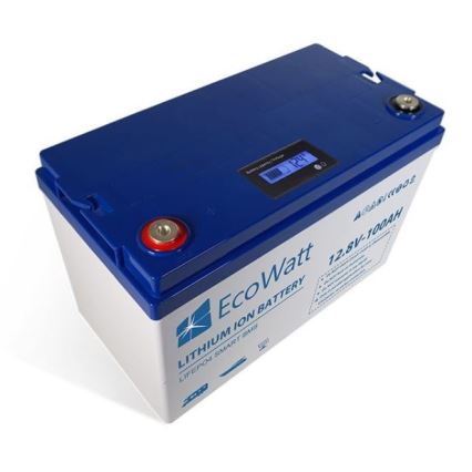 Batteria LiFePO4 12,8V/100Ah