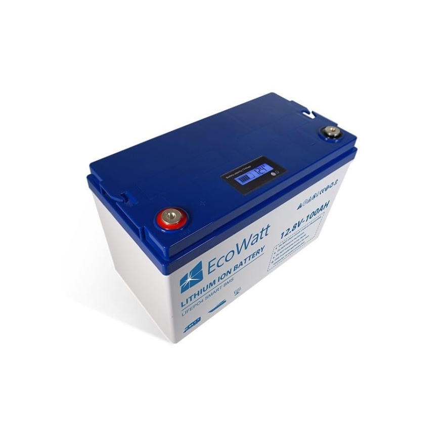 Batteria LiFePO4 12,8V/100Ah