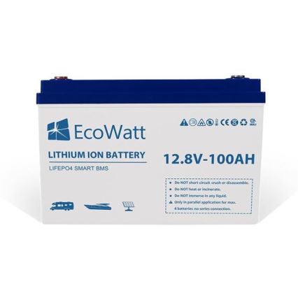 Batteria LiFePO4 12,8V/100Ah