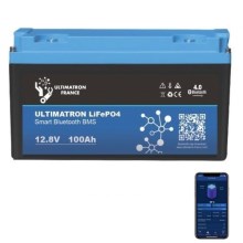 Batteria LiFePO4 12,8V/100Ah