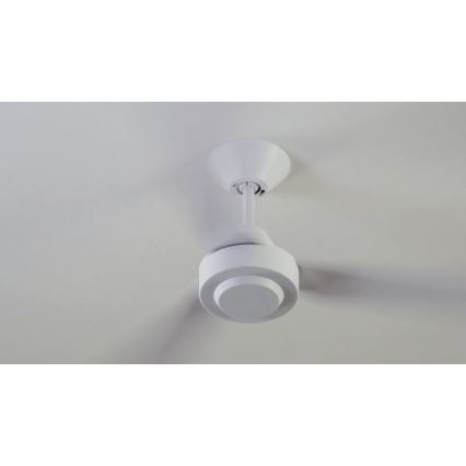 BAYSIDE 213015 - Ventilatore da soffitto CALYPSO bianco