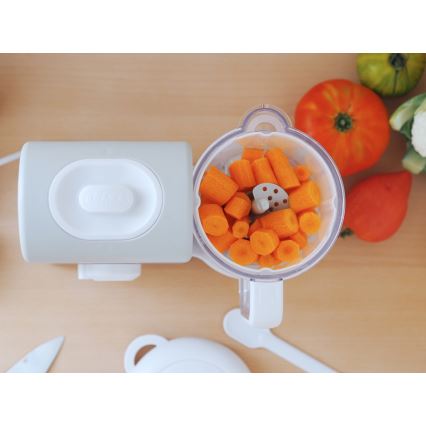 Beaba - Cuocitore a vapore 2in1 BABYCOOK EXPRESS grigio