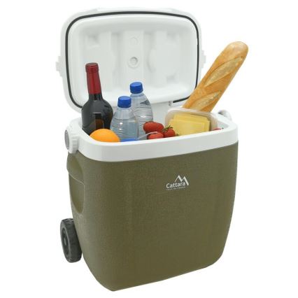 Box refrigerante portatile 16 l con ruote, verde