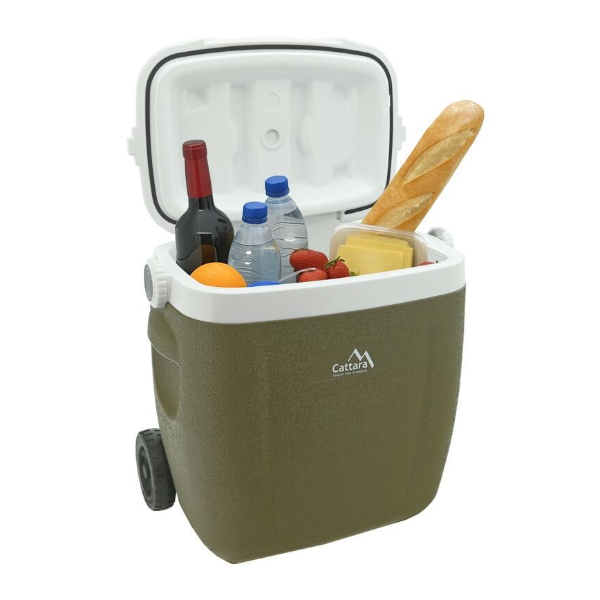 Box refrigerante portatile 16 l con ruote, verde